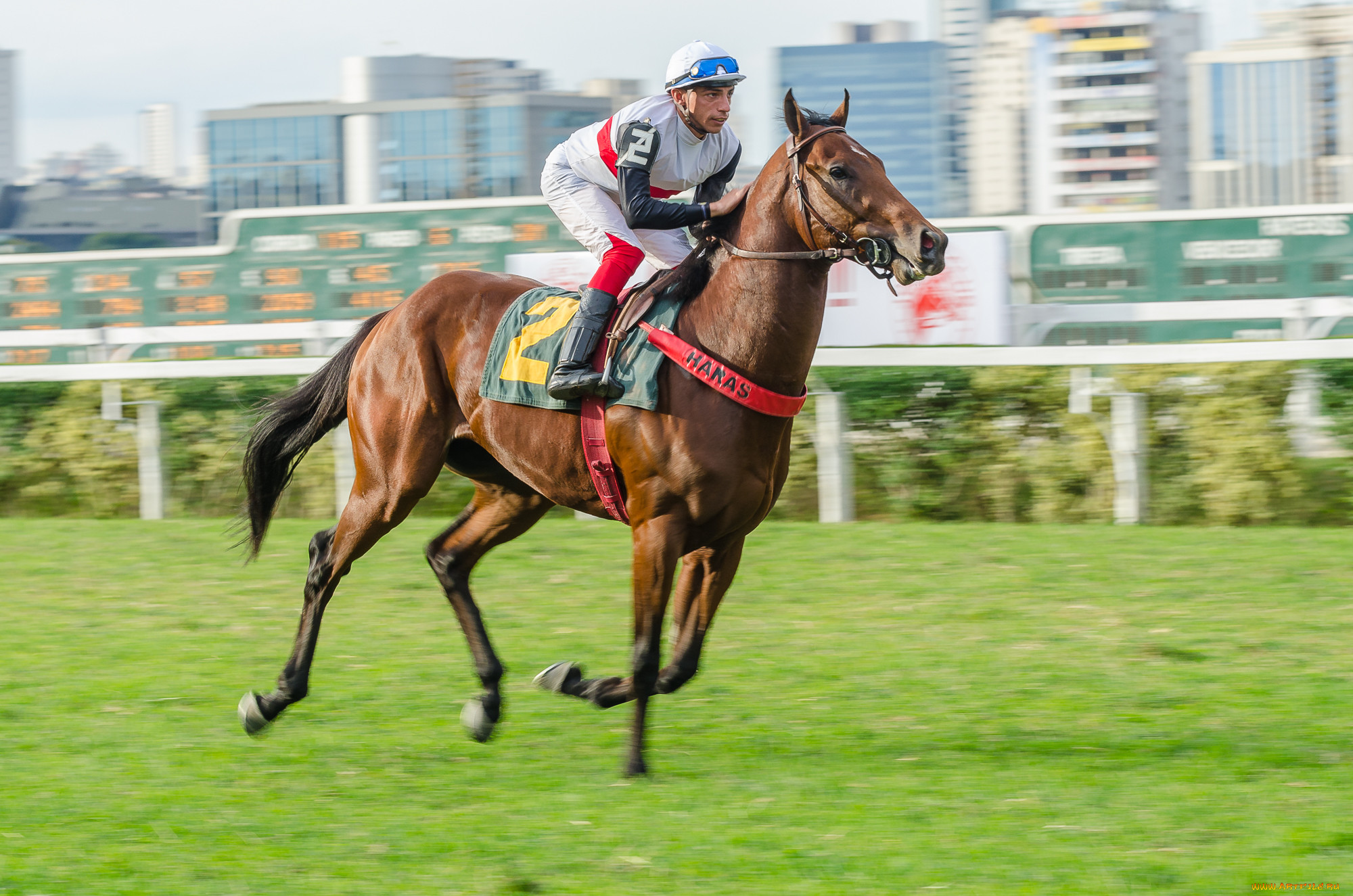 jockey club de s&, 227, o paulo, ,  , , , , 